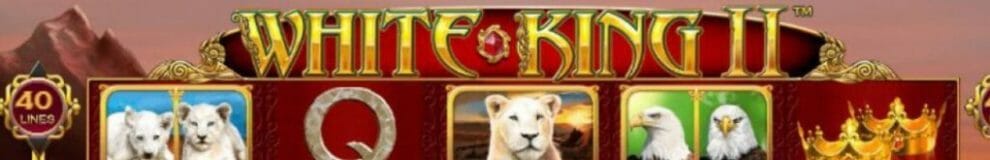  Análise do jogo de slot online White King II