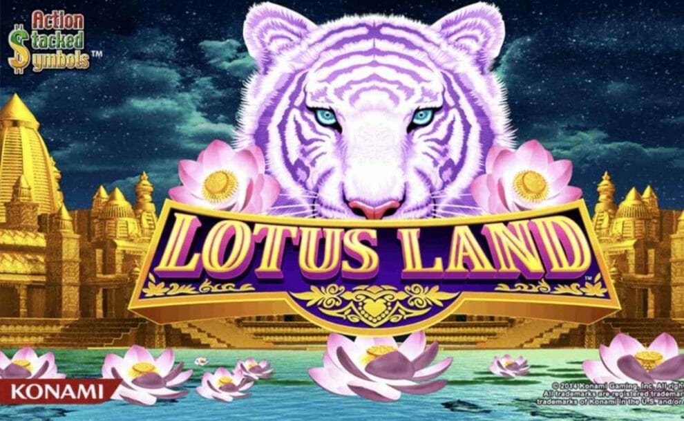  Análise do slot Lotus Land